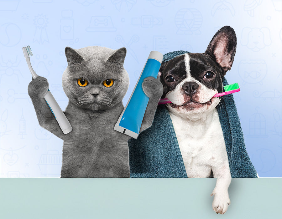 Pet Essentials
